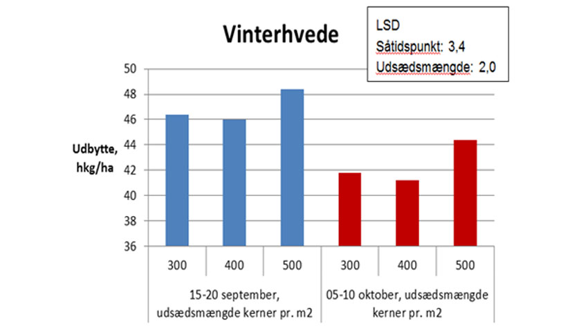 Såtider og udsædsmængder i økologisk vinterhvede. 6 forsøg i 1999 - 2000.
