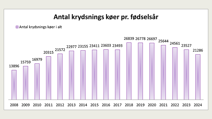 Antal krydsningskøer pr. fødselsår