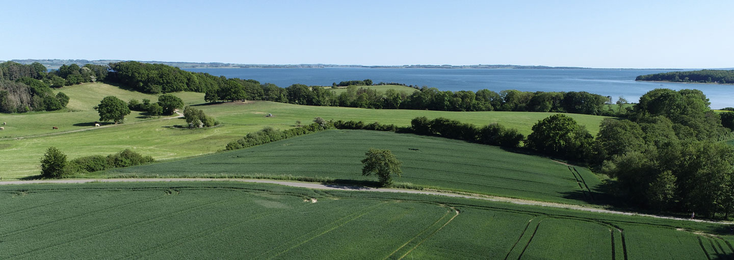 Dronebillede af landskab