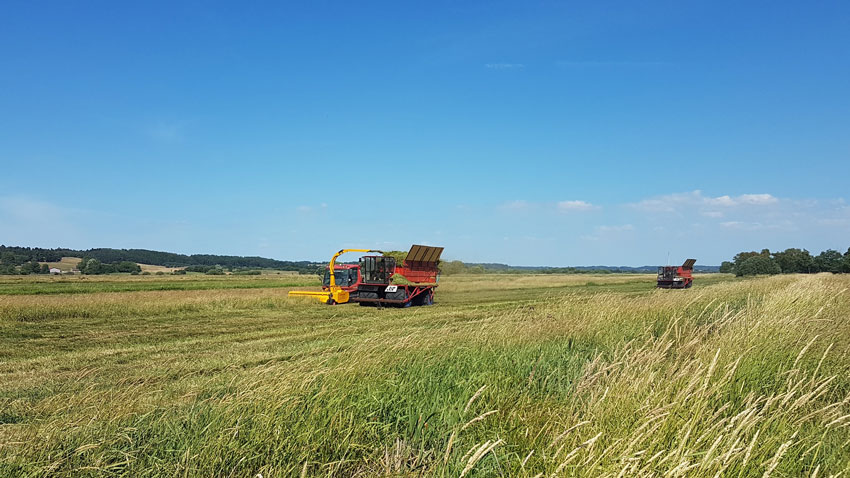 Biomassehøst på lavbundsjorder