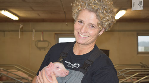 Driftsdirektør Dorte Himmelstrup, Kokkenborg  ApS