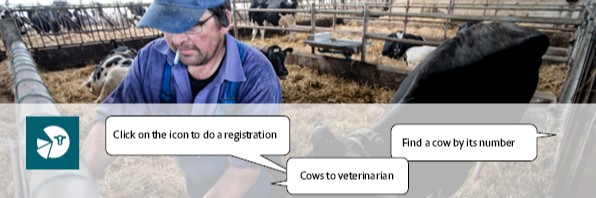 Udenlandske medarbejdere kan også bruge DMS