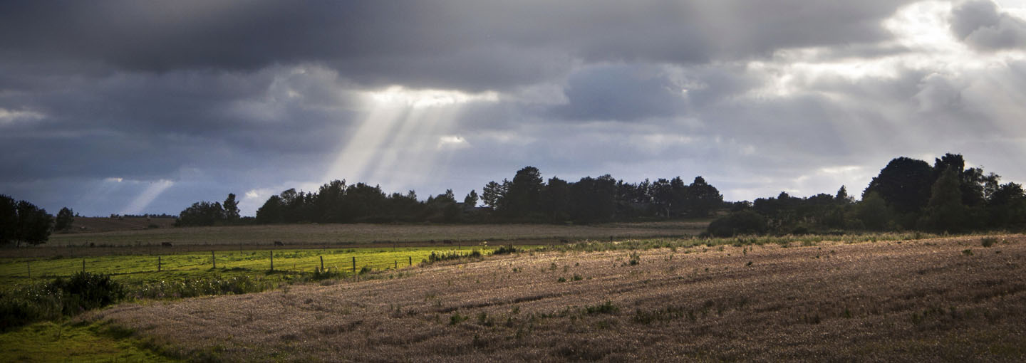 Ejerskifte af landbrugsbedrifter - når du bliver virksomhedsejer