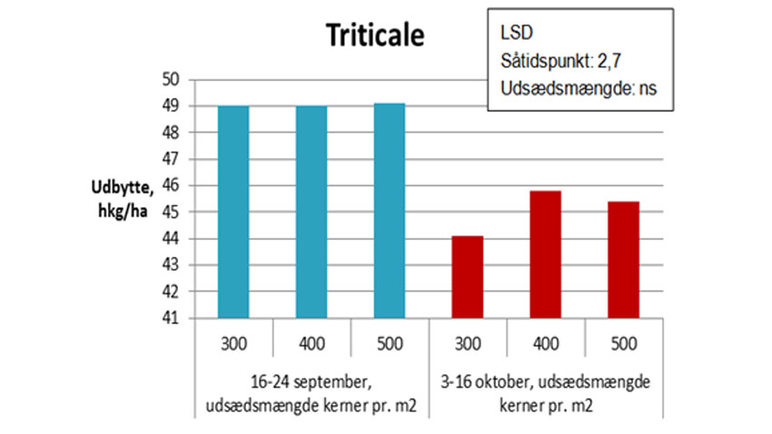 Såtider og udsædsmængder i økologisk triticale. 6 forsøg i 2001 – 2004.