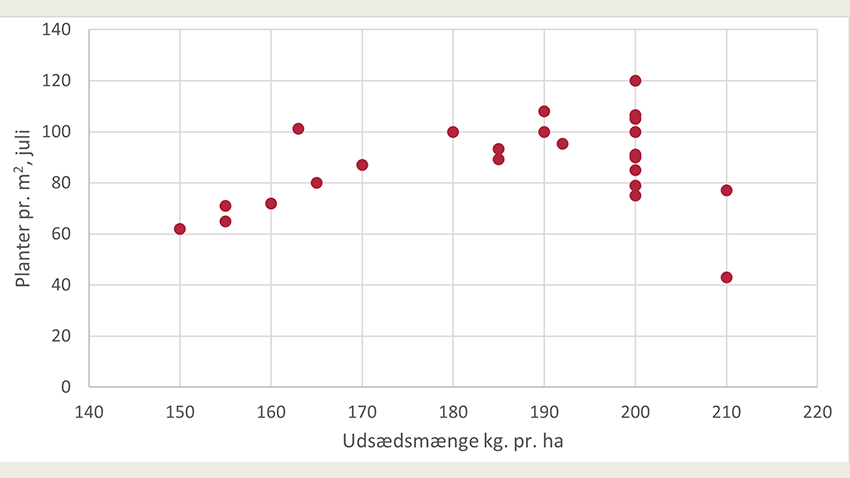 Plantetal som funktion af udsædmængde i kg.