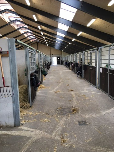 Dækkenholdere placeret på boksdøren som hesten kan komme til at bide omkring, kan give anledning til kæbeskader. 