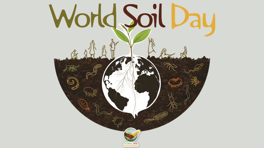 World Soil Day - Jordens dag