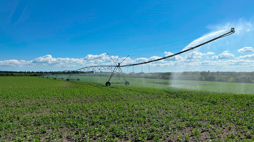 Center-pivotanlægget ved Bjerre