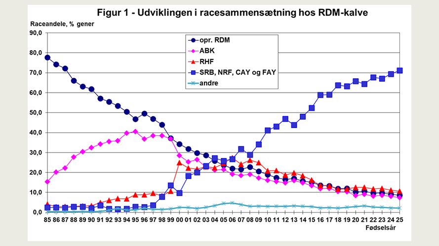 Udviklingen i racesammensætning hos RDM-kalve