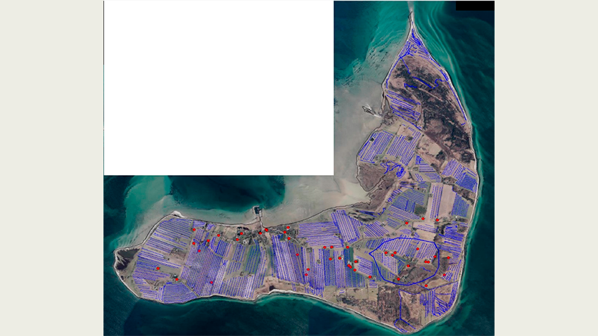 Kort over Endelave med blå linjer der viser, hvor der er kørt med tTEM i projektet. Kortet er fra Flemming Jørgensen, Region Midtjylland