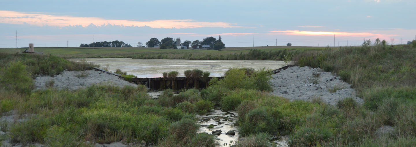 Konstrueret vådområde i Iowa