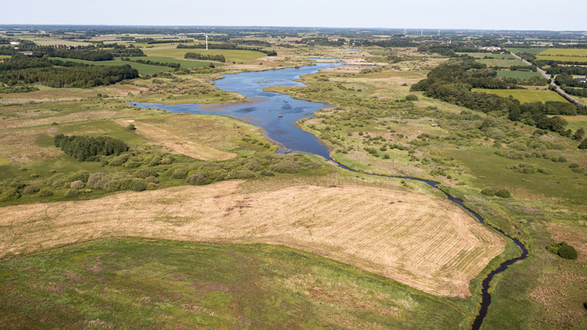 Lavbundsarealer ved Gamst sø mellem Vejen og Lunderskov. Hydrologien i området er genskabt men græsning er udeladt på arealerne