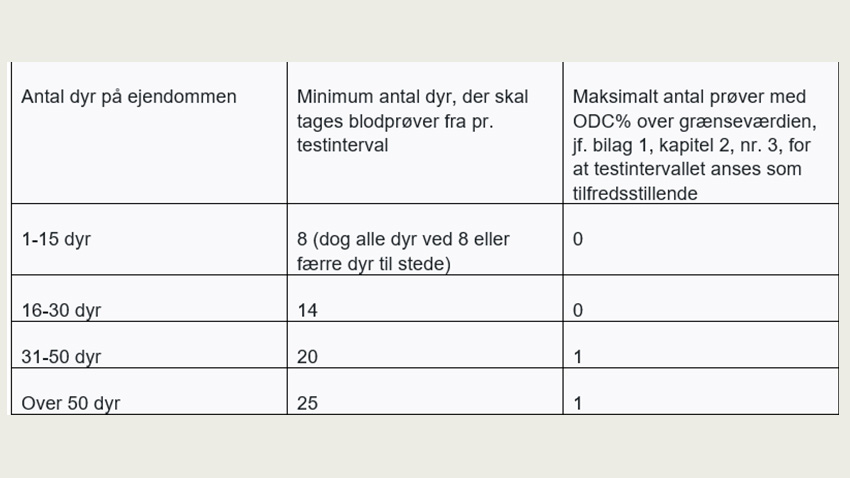 Testning af kødkvæg.