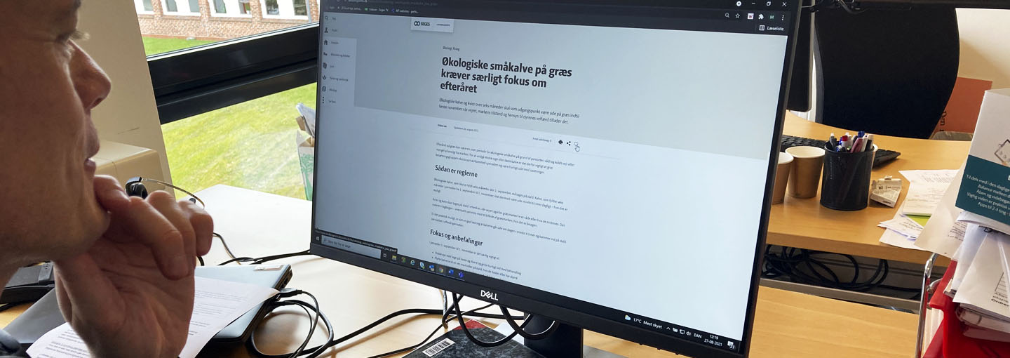 Mand sidder ved pc skærm 