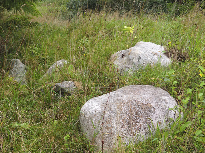 Inviter flere arter indenfor i læhegnene ved at skabe levesteder, f.eks. med sten- eller grenbunker. 