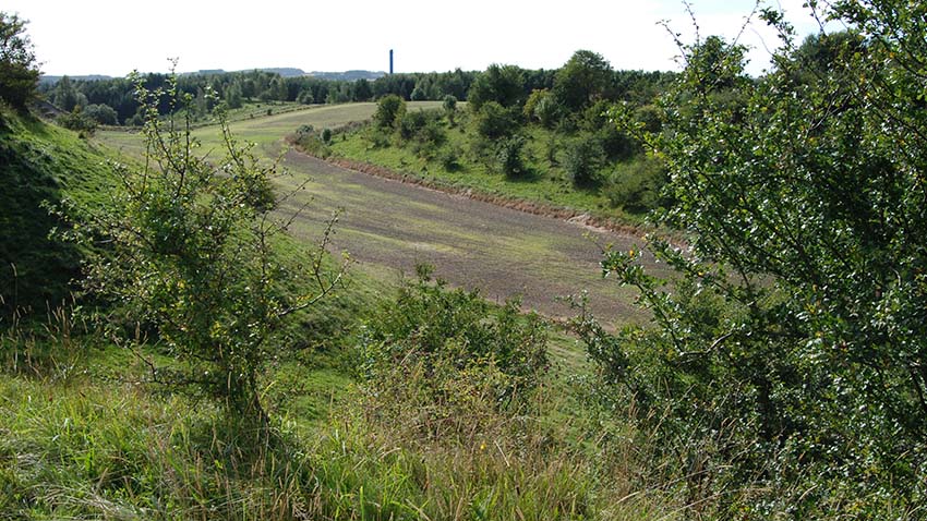 Dyrket mark mellem værdifulde overdrevsarealer kan med fordel udlægges til ny natur