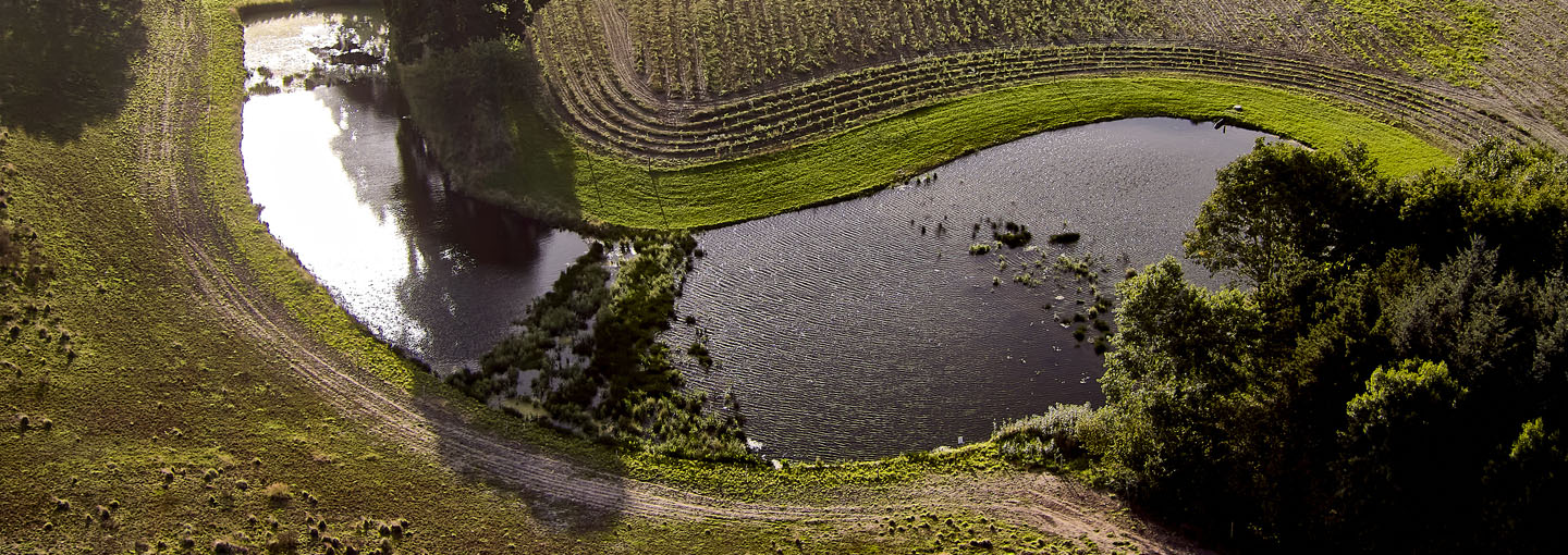 Luftfoto af et minivårområde