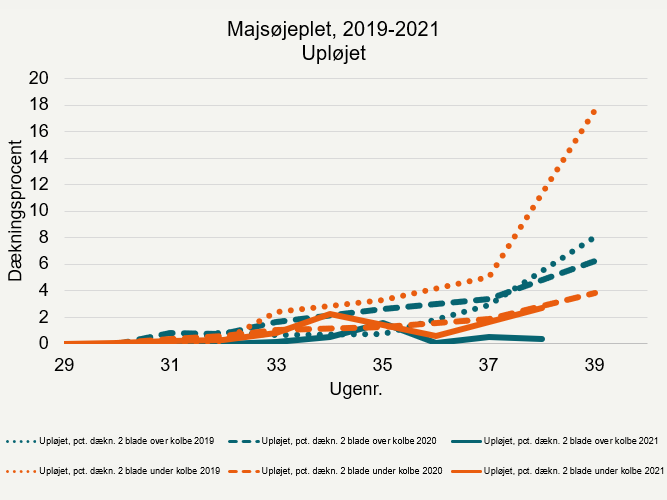 Udviklingen af majsøjeplet 