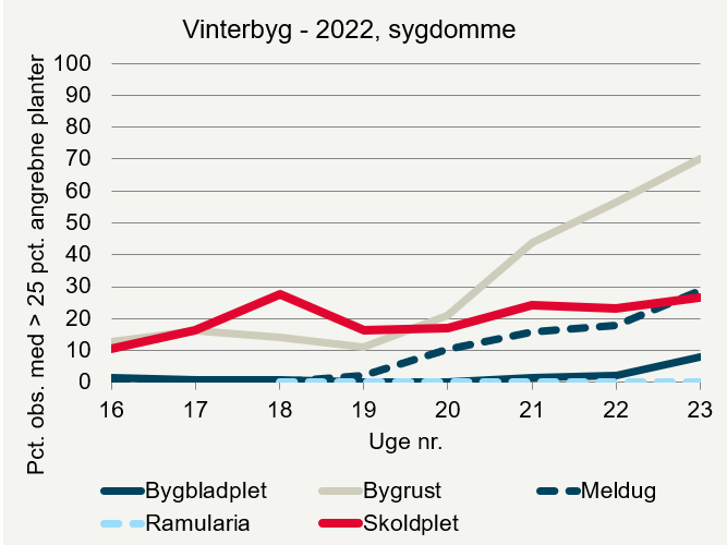Udviklingen af sygdomme i vinterbyg i registreringsnettet 2022
