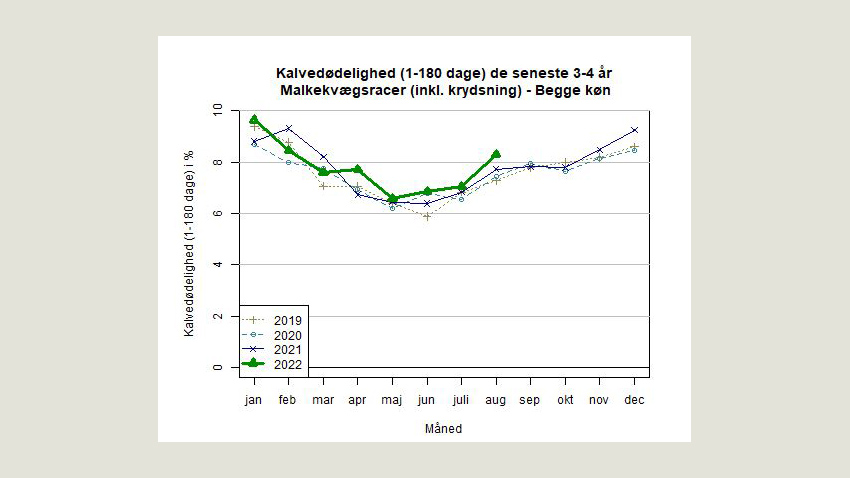 Graf udvikling kalvedødelighed til oktober 2022