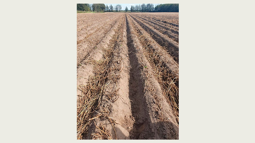 Kombination af aftopning og Mizuki i sorten Stratos på JB4