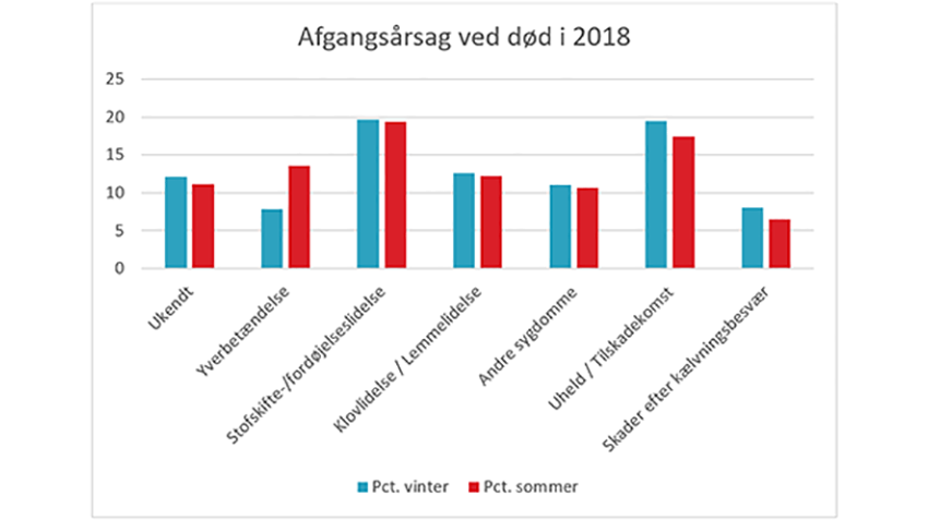 Afgangsårsag ved død i 2018