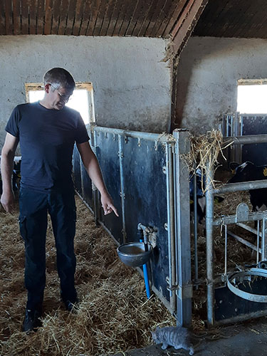 Torben Østergaard påpeger detaljer som drikkekopper, der kun bruges af ét hold og skillevægge der ikke tillader berøring mellem hold som gode smitteforebyggende tiltag i kalvestalden