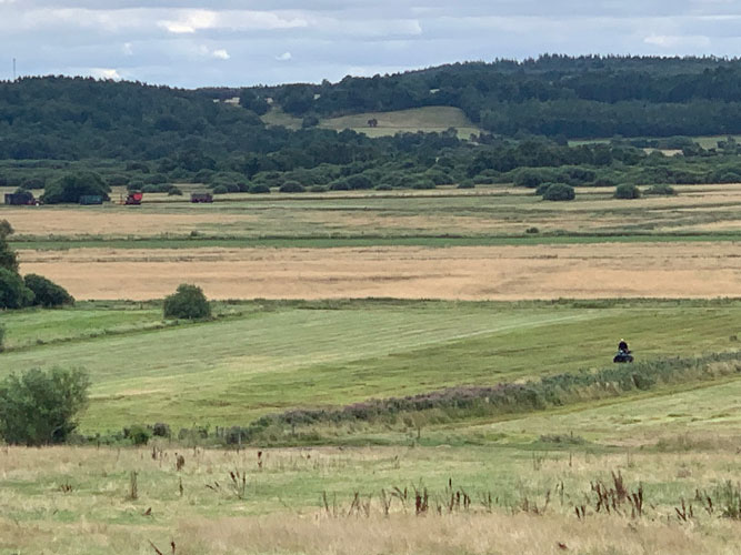 Høst af biomasse i Nørreådalen i projekt Høsttek