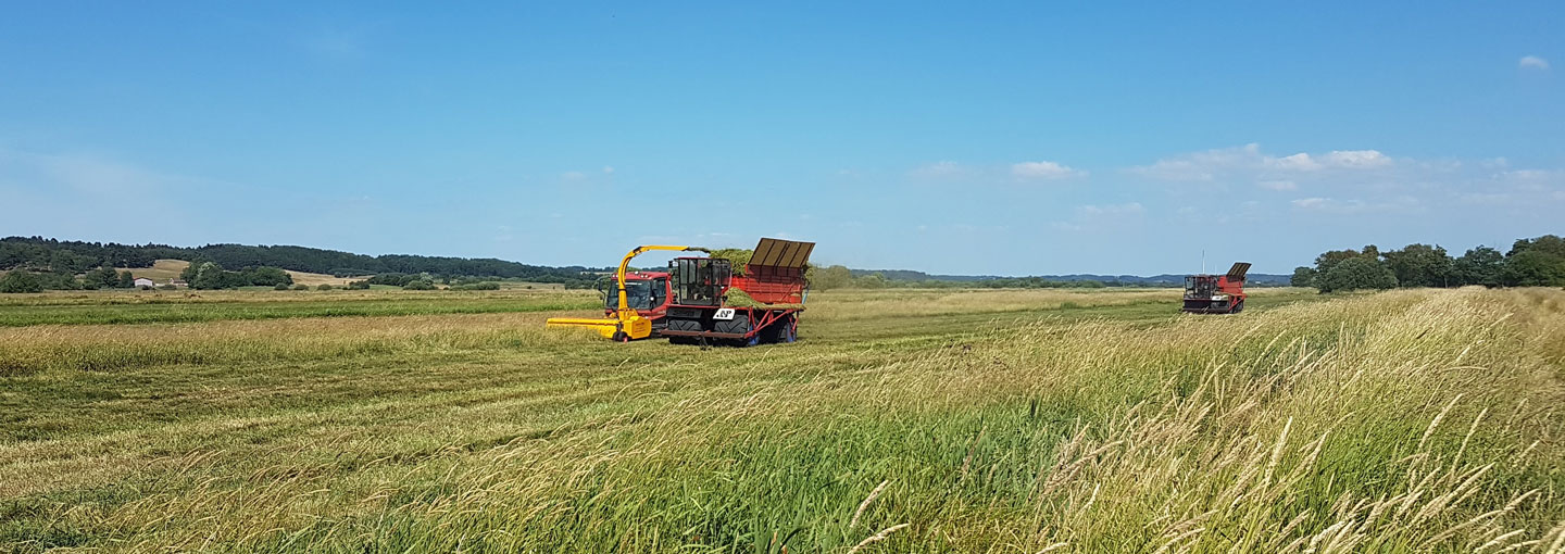 Biomassehøst på lavbundsjorder