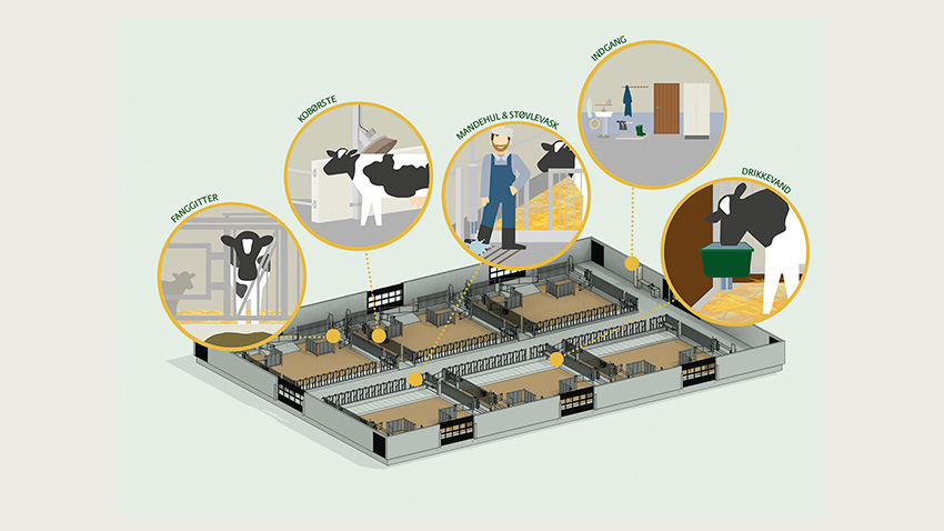 Illustration - Inspirationskatalt for kælvningsafdelinger