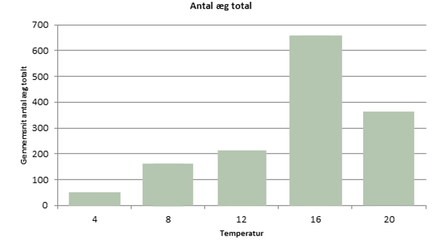 :  Gennemsnit totale antal æg pr. hun ved 4, 8, 12, 16 og 20˚ C over en periode på 6 måneder fra 15. september 2012 til 12. marts 2013.