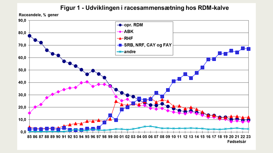 Udviklingen i racesammensætning hos RDM-kalve.