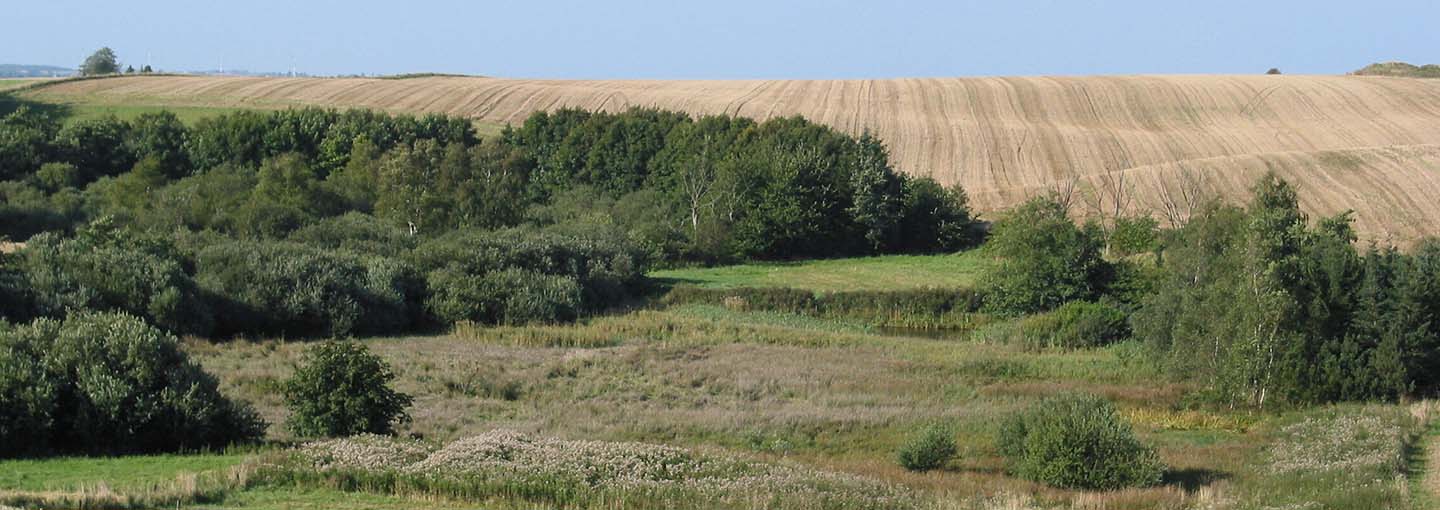 marker og skov