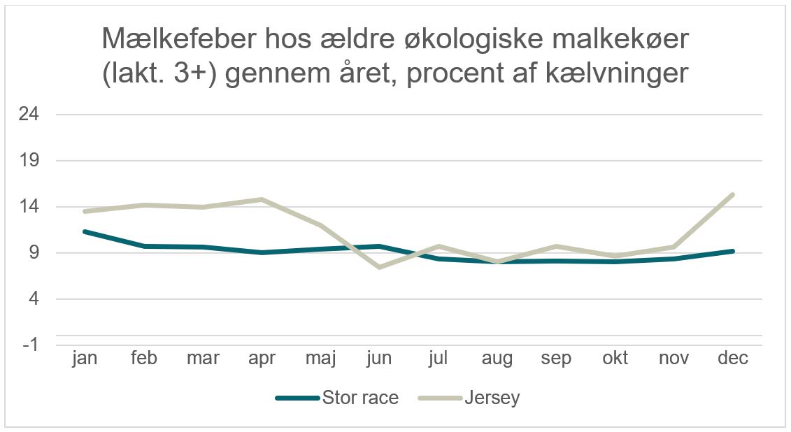 Figur 2. Mælkefeber hos ældre økologiske malkekøer (3+) gennem året