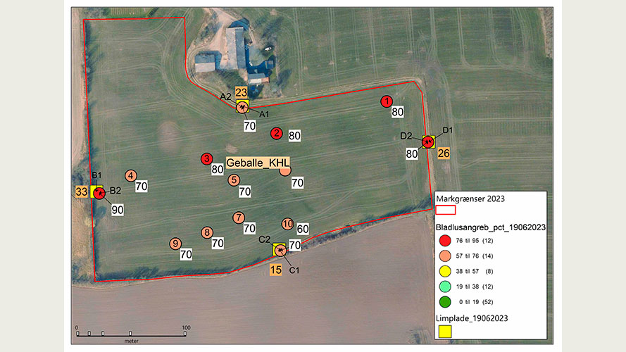 Markkort fra mark KHL (5,1 ha) og variation i angreb i marken.