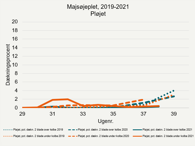 Udviklingen af majsøjeplet