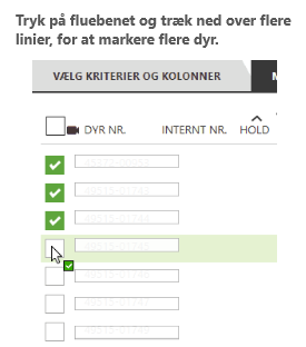 Markering af dyr på lister