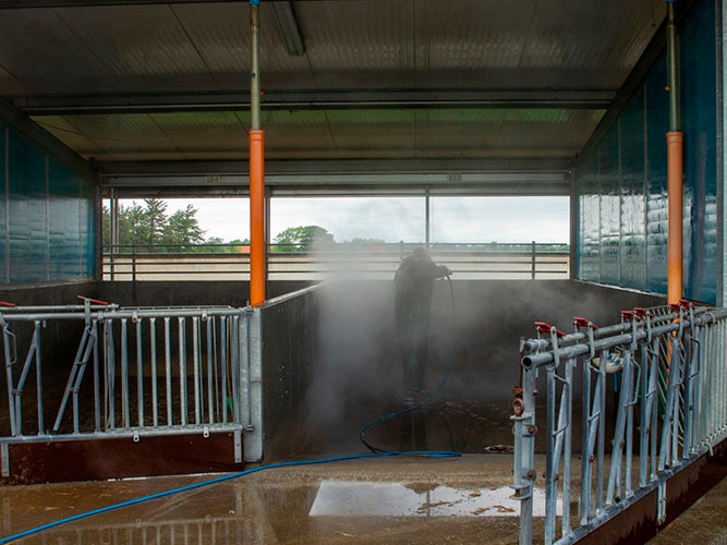 Hver boks spules grundigt og står tom før næste hold kalve kommer i den. Der er faste betonvægge i 120 cm. højde mellem hver boks, og oven på det en hånd plastikvæg, der er let at rengøre. 
