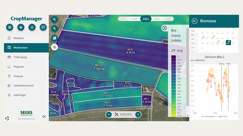 Skærmdump over satellitkortet med afgrødemætning (biomasseindeks) fra en mark