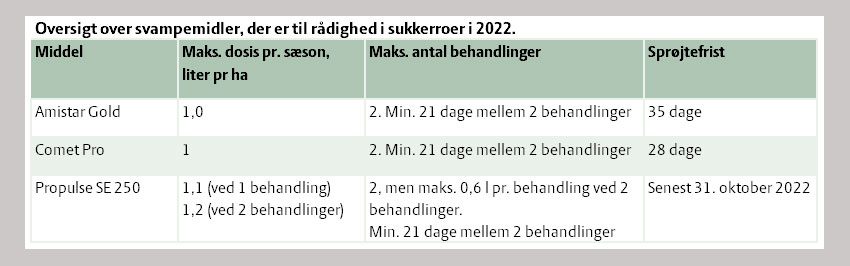 Oversigt over svampemidler, der er til rådighed i sukkerroer i 2022
