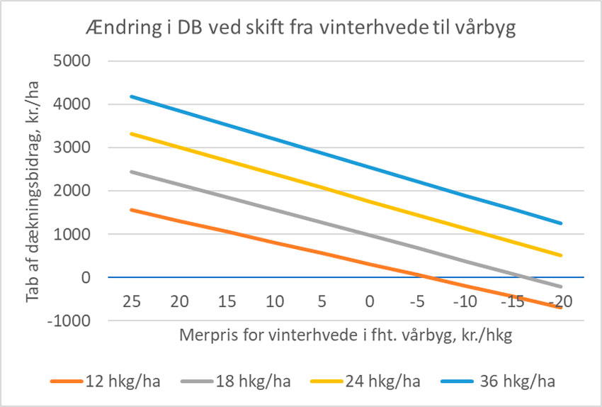 Tab af dækningsbidrag ved sædskifteændring fra vinterhvede til vårbyg ved forskellige udbytteforskelle og ved forskellig merpris for vinterhvede i forhold til vårbyg