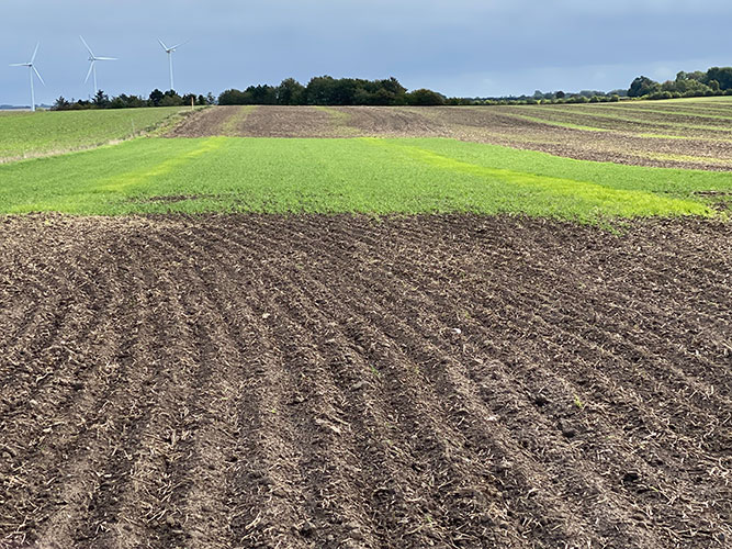 Foto viser harvede hhv. et ikke harvet område