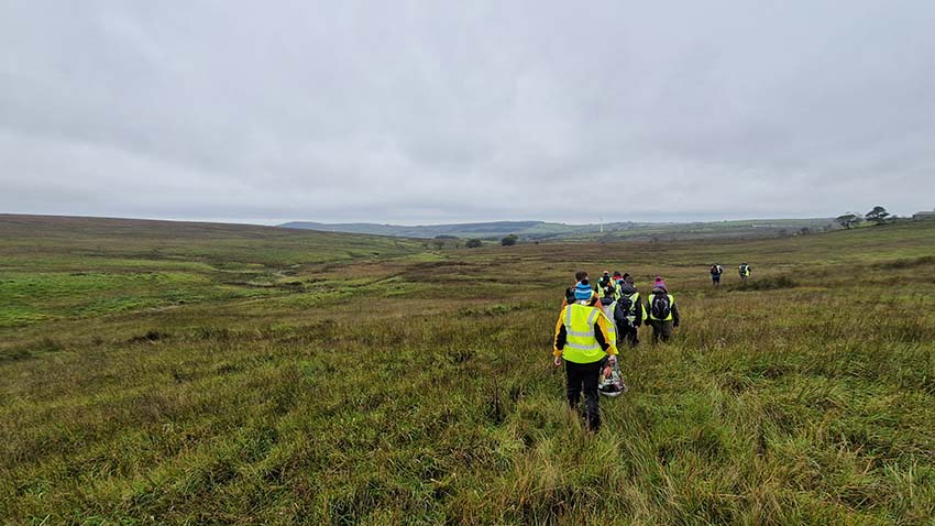Divis and the Black Mountain. En blanket bog (tæppetørv i bjerge) oven for Belfast I Nordirland