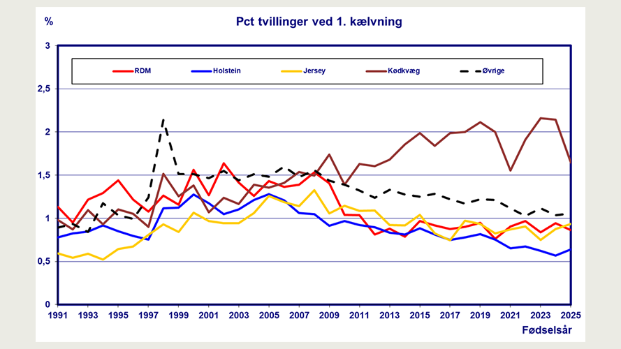 Forekomsten af tvilling-fødsler ved 1. kælvning i perioden 1/1-1991 - 31/12-2025.