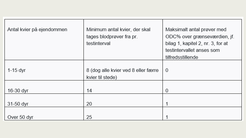 skema viser hvor mange kvier der skal tages blodprøver på