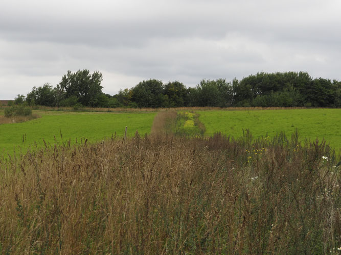 Det kan være en god i dé at omlægger blomsterstriberne eller blomsterbrak i etaper. Hvis man nøjes med at omlægge kun halvdelen af det enkelte tiltag hvert år, så er der altid en andel af arealet som kan bruges som redested eller overvintring, 