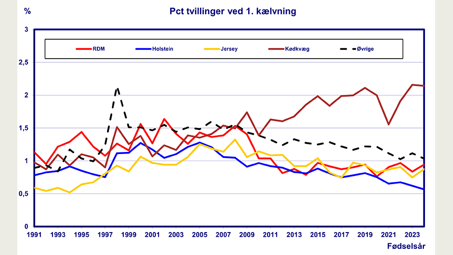 Forekomsten af tvilling fødsler ved 1. kælvning i perioden 1/1-1991-31/12-2024
