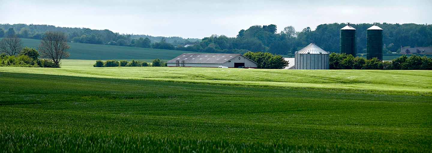 en mark med en gård i baggrunden