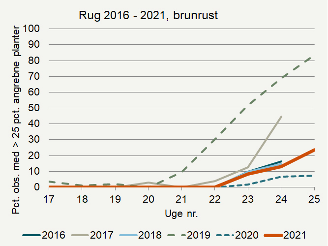 Udviklingen af brunrust i de seneste seks år i registreringsnettet. Pct. observationer med over 25 pct. angrebne planter er angivet.