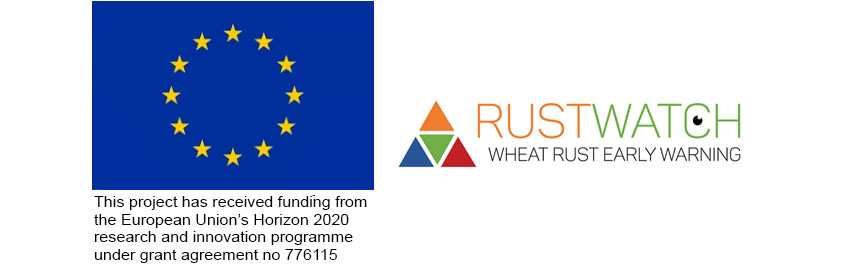 Varslingssystem til forbedrer moniteringen af rustsvampe i Europa